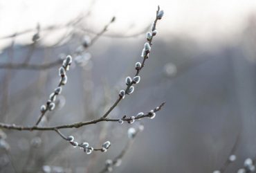 Вихідні в Україні будуть теплими, але з нюансами: синоптик розкрив деталі