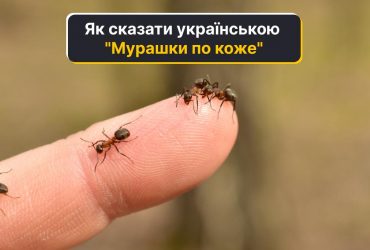 Як сказати українською мурашки по коже: мовознавиця пояснила, який варіант правильний