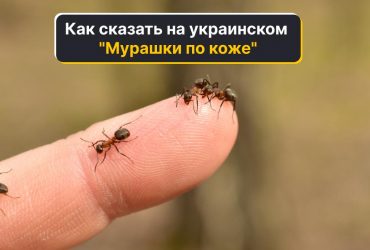 Как сказать на украинском мурашки по коже: языковед объяснила, какой вариант верный
