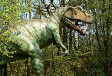 В Монголии обнаружили останки нового вида динозавров, который имел только два когтя