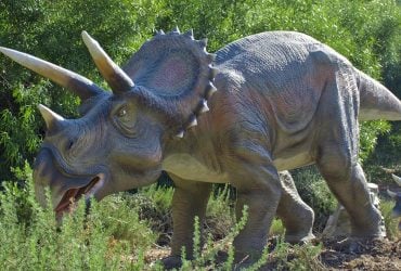 Чому еволюція зменшила динозаврам мозок: вчені знайшли пояснення