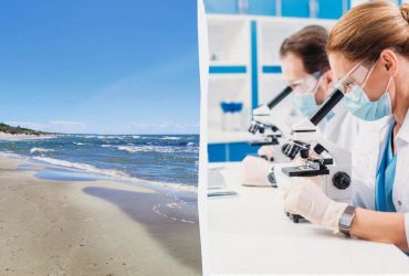 Вчені воскресили організм, який 7 тисяч років лежав на дні Балтійського моря