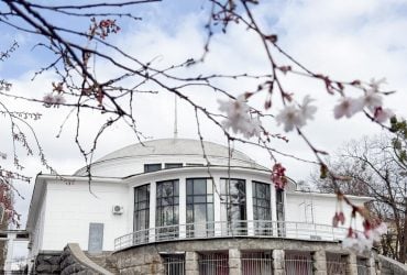 У Києві потеплішає аж до +18°: коли вдарить весняне тепло (графік)