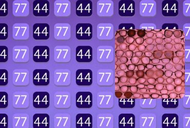 Только гении найдут число 47 в море одинаковых пар: очень сложная головоломка