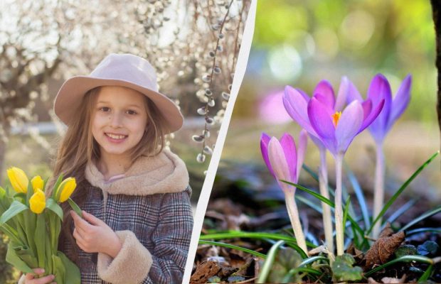 Що обов'язково потрібно зробити для достатку в домі: прикмета на свято 12 березня