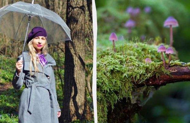 Потрапите у велику біду: що категорично заборонено робити 15 березня 2025