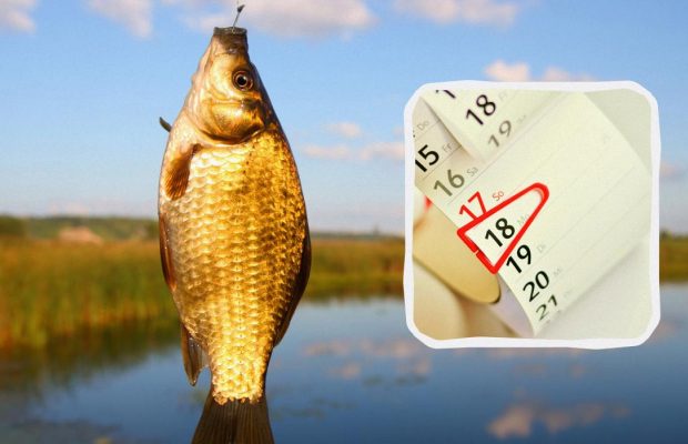 Місячний календар рибалки на квітень 2025: у які дні буде найкращий кльов (інфографіка)