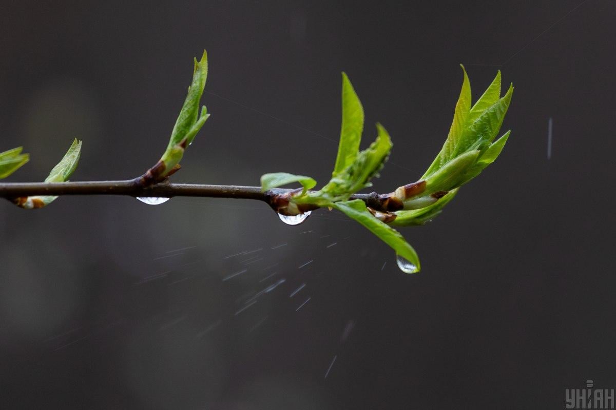 Неделя в Украине начнется с дождей и похолодания: где температура упадет ниже +10°