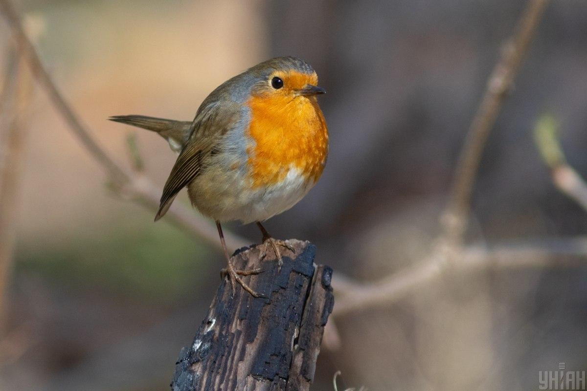 какой сегодня праздник