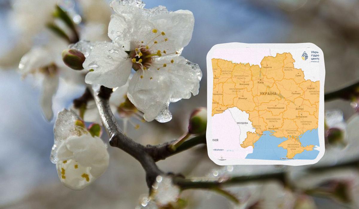 Вночі 9 квітня в Україні будуть заморозки / колаж УНІАН, фото nkul.livejournal.com, Укргідрометцентр Вночі 9 квітня в Україні будуть заморозки / колаж УНІАН, фото nkul.livejournal.com, Укргідрометцентр