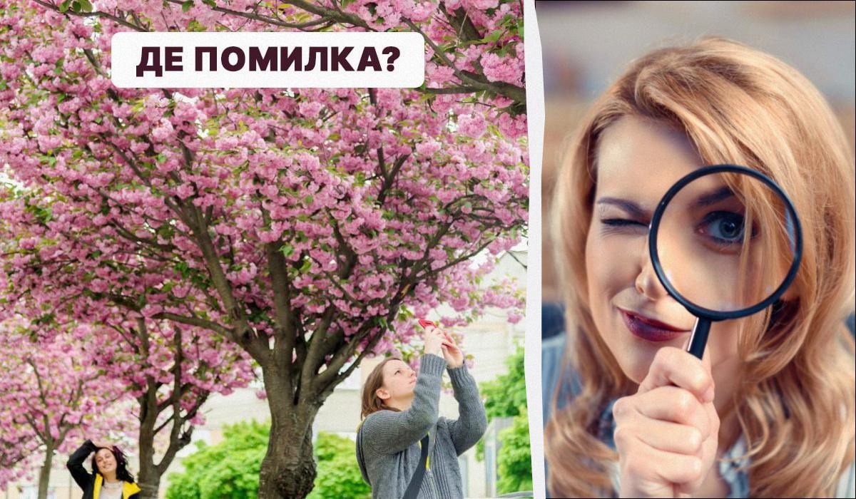 Спробуйте відшукати помилку на зображенні з сакурами / колаж УНІАН, фото УНІАН, ua.depositphotos.com Спробуйте відшукати помилку на зображенні з сакурами / колаж УНІАН, фото УНІАН, ua.depositphotos.com