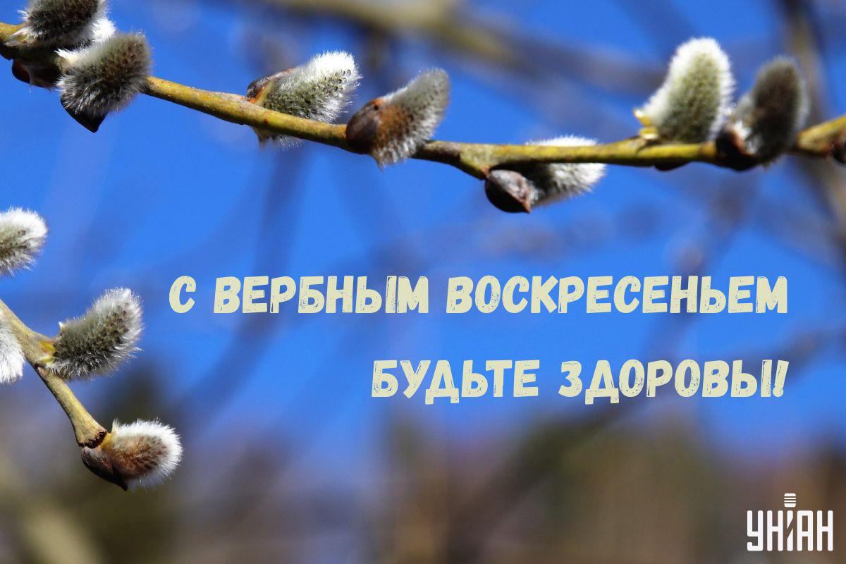 Открытка с Вербным воскресеньем / открытки УНИАН Открытка с Вербным воскресеньем / открытки УНИАН