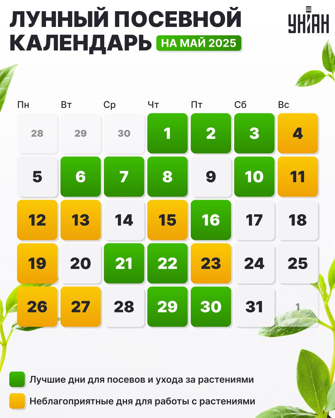 Посевной календарь на май 2025 года - таблица / картинка УНИАН Посевной календарь на май 2025 года - таблица / картинка УНИАН