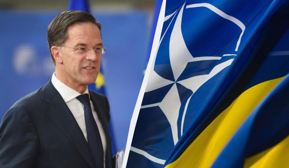 В отчетте генсека НАТО нет упоминания о членстве Украины / коллаж УНИАН, фото European Union, president.gov.ua В отчетте генсека НАТО нет упоминания о членстве Украины / коллаж УНИАН, фото European Union, president.gov.ua