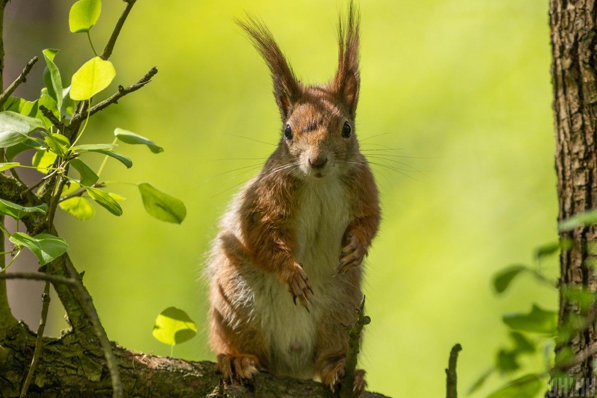 Завтра в Україні сухо та сонячно/ фото УНІАН Завтра в Україні сухо та сонячно/ фото УНІАН