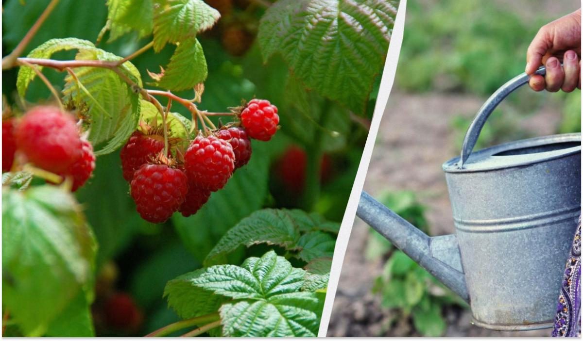 Орыс толық аналар порно