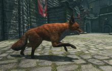 Разработчик Skyrim заявил, что лисы в игре на самом деле не ведут к спрятанным сокровищам