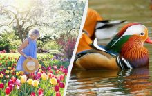 Какие 3 поступка сегодня считаются большим грехом: приметы в праздник 4 апреля 2025