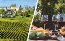 Красиво и вкусно: названы десять винных регионов Европы, которые стоит посетить в 2025 году