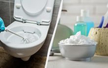 Средство для лица и тела разъедает многолетний налет в унитазе: о чем идет речь