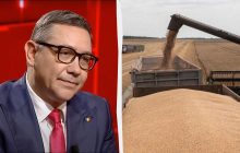 Кандидат в президенты Румынии планирует запретить транзит украинского зерна, - Reuters