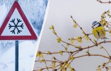 На Львовщине объявили красную опасность: температура упадет до -10° (инфографика)