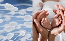 Уровень жира в теле может зависеть от месяца зачатия: удивительное исследование