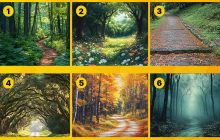 Какую лесную тропу вы выберете: психологический тест на скрытые черты характера