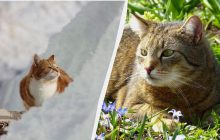 Через несколько дней Украина перепрыгнет из зимы в лето: синоптик показала карту