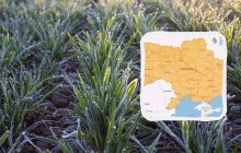 Зима не відпускає: Укргідрометцентр попереджає про заморозки до -5° (карта)