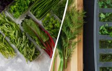 Как хранить петрушку и укроп, чтобы месяцами были свежими: вот куда нужно положить