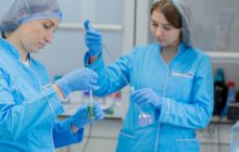 Навчання, стажування, кар’єра: молодь обрала найкращого роботодавця 2024