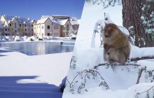 Много снега и минусовая температура: назван город в Африке, который поражает туристов