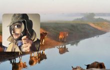 Только настоящий гений найдет собаку за 10 секунд: очень сложная оптическая иллюзия