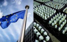 В Forbes выяснили, сможет ли ЕС реализовать свой амбициозный план перевооружения