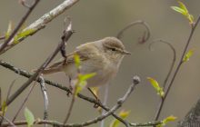 Суттєвого тепла поки чекати не варто: синоптик засмутив українців прогнозом