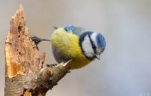 Украину разогреет до +12: синоптик рассказала, где 18 декабря будет теплее всего