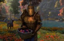 Мы продолжаем работу и остаёмся на позитиве, - разработчики фанатского ремейка Oblivion