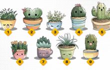 Вибір кактуса спрогнозує кар'єрне зростання: тест на особистість із точністю 99%