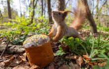 Украинцев ожидает удивительно теплая неделя, но есть неприятный нюанс, - Диденко