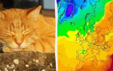 22 апреля Украина будет одной из самых теплых стран Европы, - синоптик Диденко