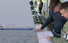 На Дунае задержали судно "теневого" флота РФ, которое возило украденное украинское зерно