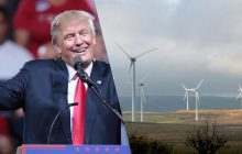 У Трампа тиснуть на світове енергетичне агентство через підтримку "зеленої" енергетики, - ЗМІ