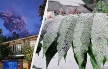 На Філіппінах вивергається вулкан: люди чують гуркіт, почався попелопад (фото, відео)