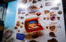 В Перу нашли 5000-летнее захоронение знатной женщины с инкрустированным клювом птицы