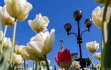 Сегодня в Киеве будет много солнца, но станет прохладнее