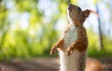 Последняя неделя лета начнется осенней свежестью, а закончится жарой, - синоптик