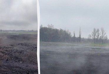 Волшебное весеннее явление заметили на Днепропетровщине (фото)