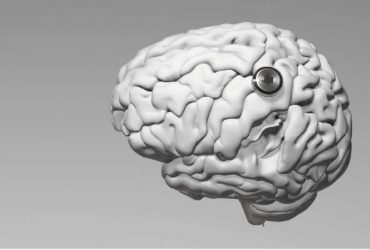 Добровольцем для вживления нейрочипа Neuralink теперь может стать каждый