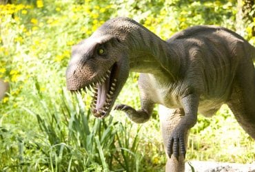 У Китаї знайшли динозавра, який умів щебетати, як птах